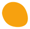 LP Company color styling element